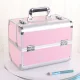 Cosmetic Case CA34C, Silver-Pink
