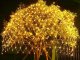 Outdoor LED Net Lights 100 LEDs Christmas Decoration, Warm White 1x2m