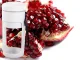 Portable Cordless USB Smoothie Blender 450ml, 20W, White