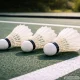 Feather Badminton Shuttlecocks, 3 Pack, White
