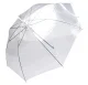 Transparent Umbrella BQ13A, White