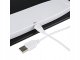 Bathroom Body Fat Composition Scale with Bluetooth and LCD Display