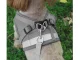 No-Pull Harness with Leash for Dogs and Cats, Reflective, XS, Grey