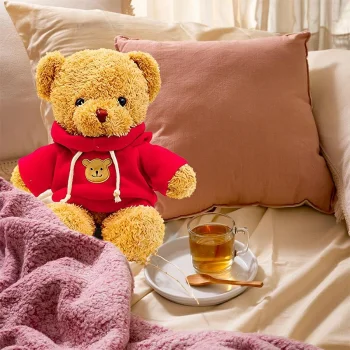 Plush Teddy Bear in Sweater 40cm