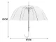 Large Transparent Umbrella for Weddings and Photo Sessions