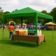MultiGarden 3x3m Pop-Up Gazebo Canopy Tent for Garden and Patio, Green