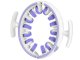 Anti-Cellulite Firming Body Massager Manual Folding Multifunctional Body Muscle Relaxer Roller for Hips Legs etc.,...