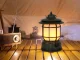 Rechargeable LED Camping Lamp with Hook and Torch Effect