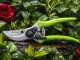 DIVODV Garden Pruning Shears for Branches and Shrubs, 22 cm, Green
