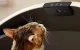 Petlibro Luma automatinis savaime išsivalantis kačių tualetas