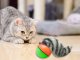 Интерактивная игрушка для кошек Убегающий мяч с хорьком