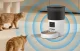 Rojeco RWSQ-06 3L Automatic Pet Feeder with WiFi and Camera