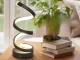 LED Spiral Desk Lamp, 3 Light Colors, USB, Black