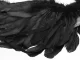 Feather Angel Wings Black Fairy Tale Costume Cosplay Halloween Disguise
