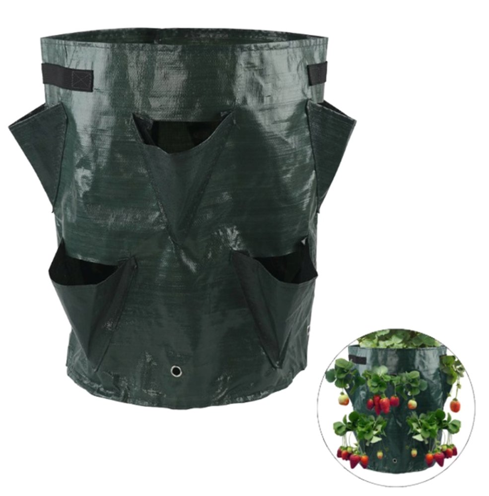 Strawberry planting bag with drainage holes for fruit bushes, green (0)