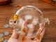 Small Glass Piggy Bank for Coins and Bills, Clear Money Saving Jar for Adults & Kids