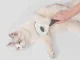 Self-Cleaning Pet Grooming Brush for Dogs and Cats