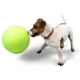 Giant XXL Tennis Ball for Dogs, 24 cm