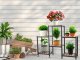 Wooden 4-Level Flower Stand