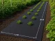 Thick Black Weed Control Fabric 50g/m² 1x20m