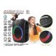Портативная Bluetooth колонка Rebeltec STAGE 300 с караоке и RGB подсветкой,...