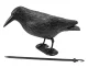 Plastic Raven Bird Repellent 38cm