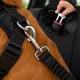 Elastic Dog Car Seat Belt, Black