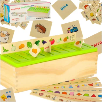 Wooden Sorter and Logic Puzzle for Kids