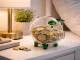 Small Glass Piggy Bank for Coins and Bills, Clear Money Saving Jar for Adults, Gift Idea
