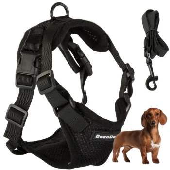 Pressure-Free Harness with Leash for Small Dogs, Size M, Black