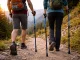 Verk Group Nordic Walking & Trekking Poles with Tips and Cover, Blue