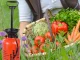 Manual Pressure Sprayer with Long Lance and Strap 8L Orange