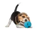 Squeaky Rubber Dog Ball Chew Toy with Funny Face, 6.5 cm