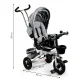 Ecotoys Tricycle with 360° Swivel Seat and Canopy, Grey