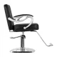 Hair System ZA31 Hairdressing Chair, Black