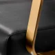 Gabbiano Porto-GM Hairdressing Wash Unit Black/Gold