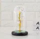 Eternal Rose in Glass with LED, White