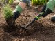 DIVO Hand Garden Rake for Soil Loosening and Flower Beds, Black-Green