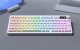 Onikuma MT902 Gaming Keyboard, RGB, White