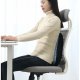 Ортопедическая Подушка для Поясницы Malatec 21949 | Lumbar Pillow
