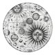 Popsockets 2 Plant Cosmic Sun держатель и подставка для телефона