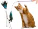 Interactive Cat Wand Toy with Feathers and Rattle Fishing Pole Teaser