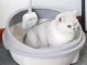 Open Cat Litter Box with High Sides and Scoop, 44.5x48.5 cm
