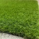 Artificial Grass Tenax GALLES 35 mm, 1 x 5 m