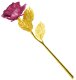 Eternal Gold Rose with Purple Petals Gift