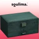 Jewelry Display Box Storage Organizer Case, Green
