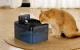 Rojeco RYSJFX-2k Wireless Smart Pet Fountain 2.2L