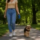 Retractable Dog Leash 5m, Up to 15kg