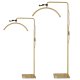 Shadowless LED Arc Lamp 36W for Eyelash Extensions Adjustable, Gold
