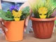 Yellow Sticky Traps for Plants Against Fungus Gnats and Insects, 12 pcs